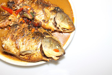 cook fish on a white background