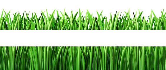 cut Grass green lawn landscaper isolated on white