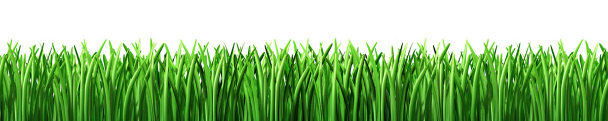 Fototapeta na wymiar Grass green lawn isolated on white