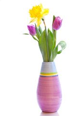 A bouquet of two tulips and narcissus in a vase isolated over wh