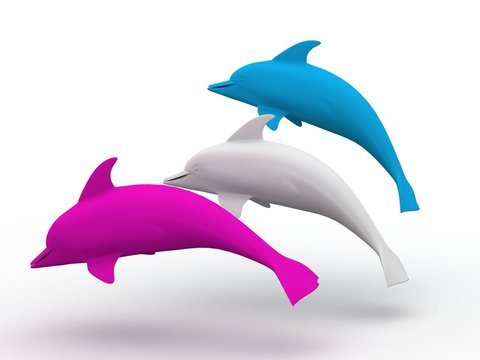 Colored Dolphin