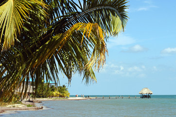 Fototapeta na wymiar Belize, peninsula Placencia