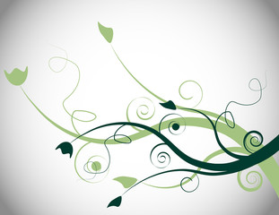 Green Floral Spring Background
