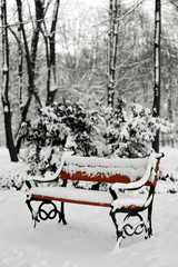 winter park © fotografaw
