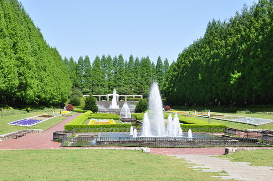 4 Best 相模原麻溝公園images Stock Photos Vectors Adobe Stock 4 Best 相模原麻溝公園images Stock Photos Vectors Adobe Stock