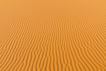 sahara desert