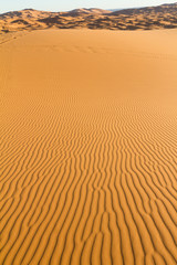 sahara desert