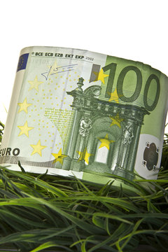 100 Euro Wiese Hochformat