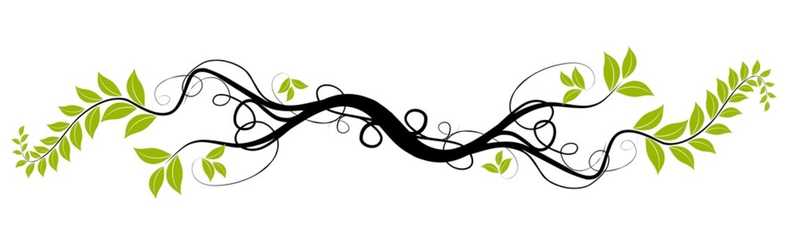 vector floral design - ai green tree branch over white