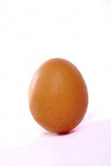 alone egg