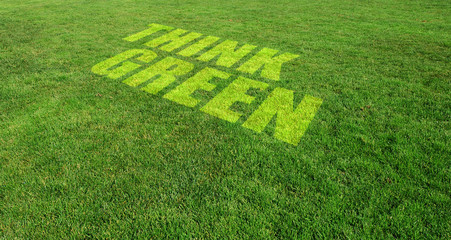 Think Green Text Painted on Green Lawn