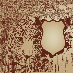 leopard