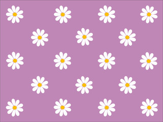 Gänseblümchen Muster