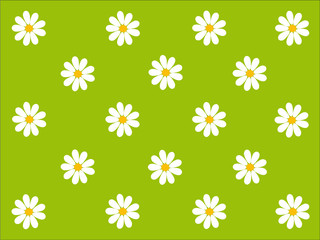 Gänseblümchen Muster © Engel73