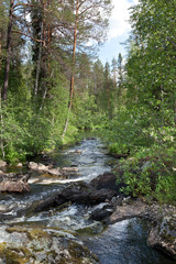 Горная, таёжная речка.