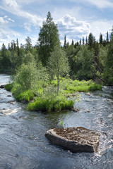 Горная, таёжная речка. © mvi690
