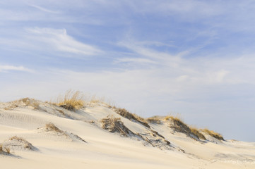 Sand Dunes on windy, winter day