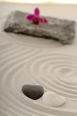 Fototapeta na wymiar Kamienie jako serce w piasku ślady i kwiat
