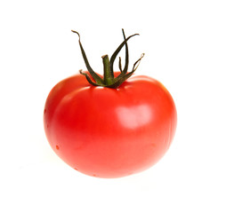 Tomatoes isolated on white