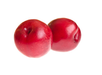 Plum on white isolated background