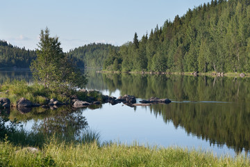 Зеркальное отражение леса на реке Умба.
