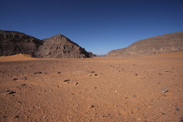 ALG323