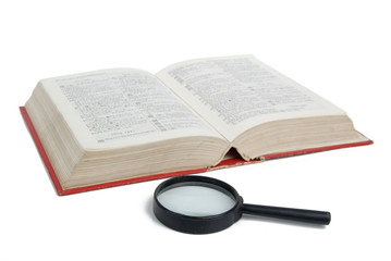 Magnifier and dictionary