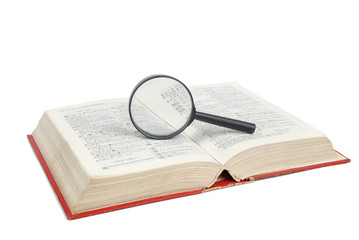 Magnifier and dictionary