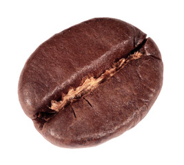 Coffee bean