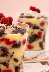 Raspberry Trifle