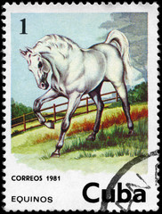 CUBA - CIRCA 1981 Horse 1c