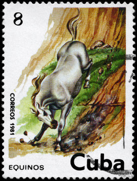 CUBA - CIRCA 1981 Horse 8c