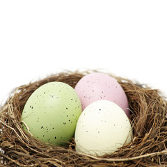 Easter eggs in real bird nest