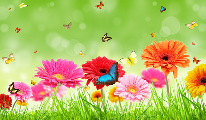 Obraz premium Spring romance