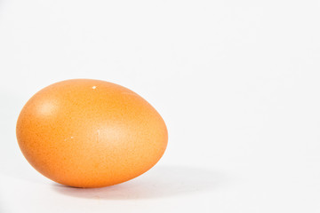 Egg Egg Egg