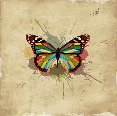 Fototapeta na wymiar Retro butterfly design on old paper