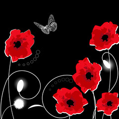 red poppies on a black background