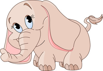 Little baby elephant