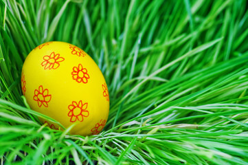 egg