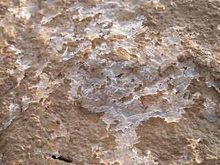 Bodenfrost