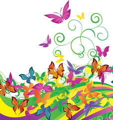color butterflies on bright background