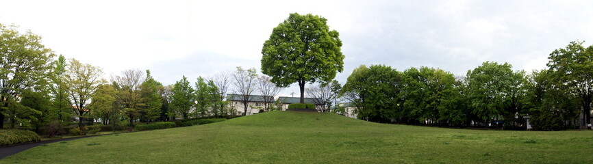 公園パノラマ