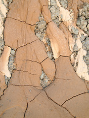 Risse im Boden