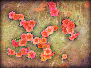 Vintage background with flowers