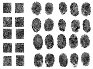 30 Detailed Fingerprints