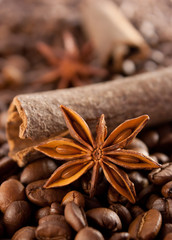 Anise, cinnamon and coffee beans