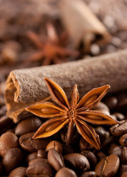 Anise, cinnamon and coffee beans © Szymon Apanowicz