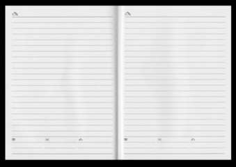 Notebook spread