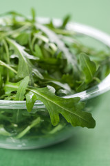 Rucola fresh salad