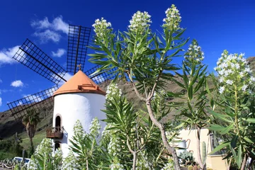 Fototapete Mühlen Windmühle - Gran Canaria